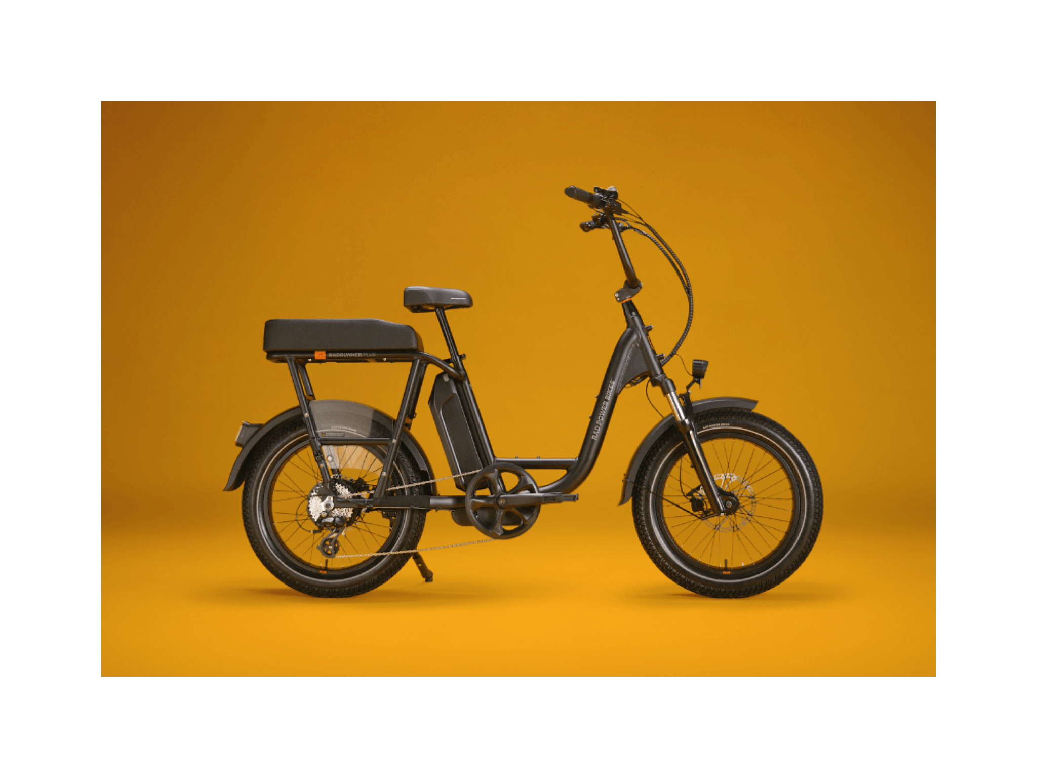 RadRunner™ Plus Electric Cargo Utility Bike