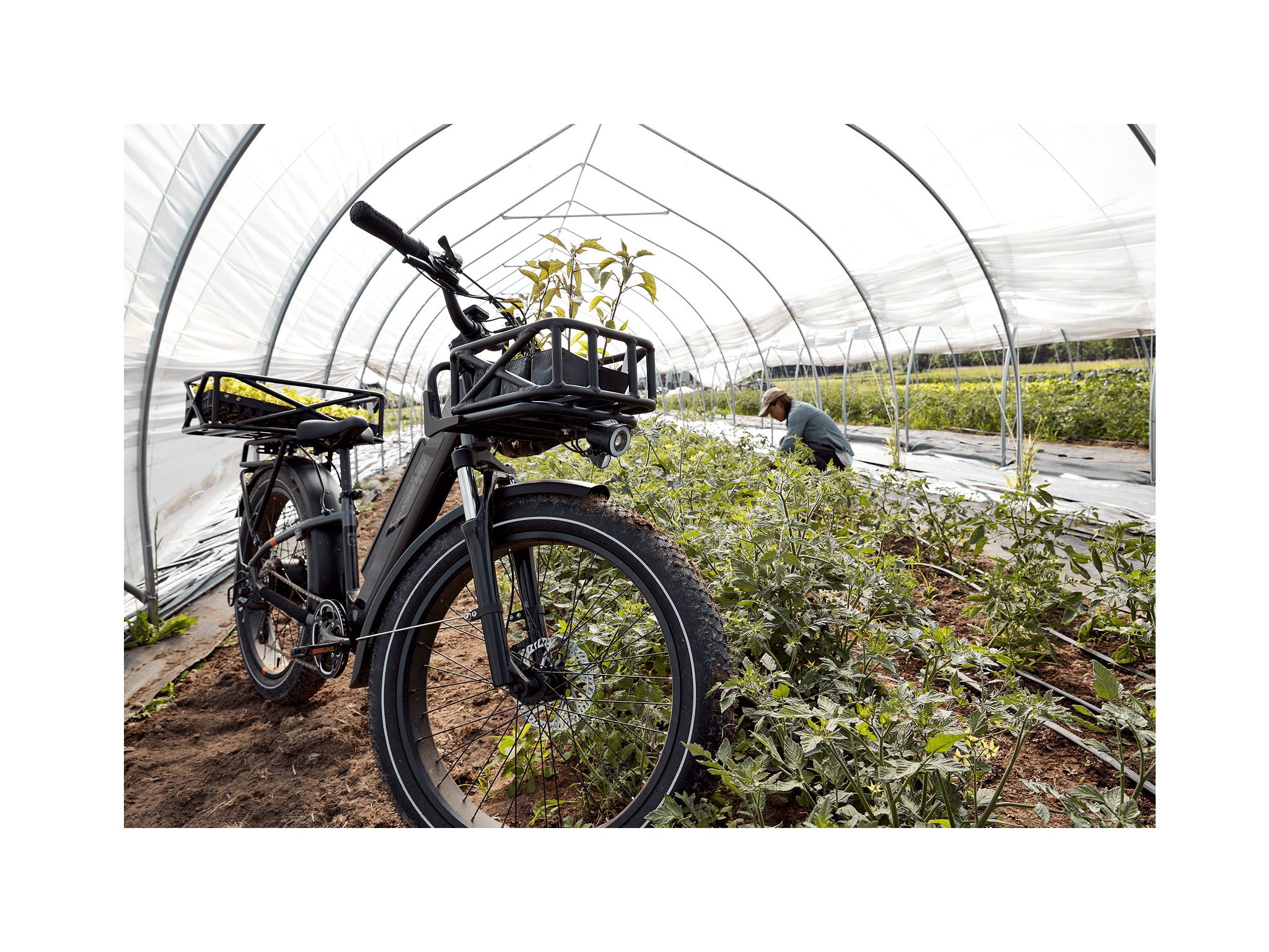 RadRover™ 6 Plus Electric Fat Tire Bike
