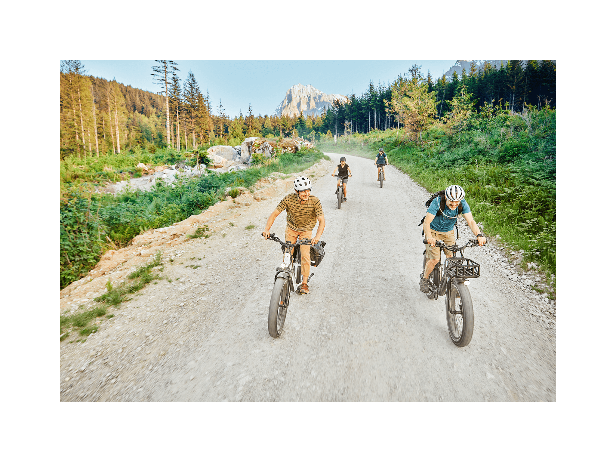 RadRover™ 6 Plus Electric Fat Tire Bike